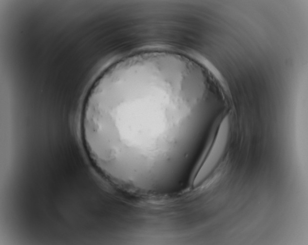 X0000094321245200711161923