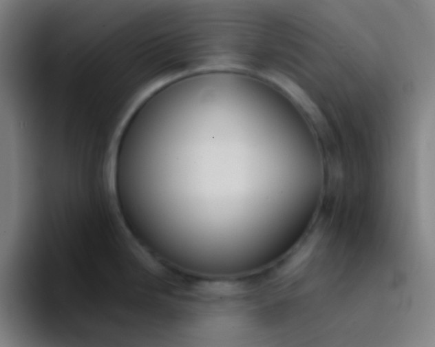X0000094321246200711161923