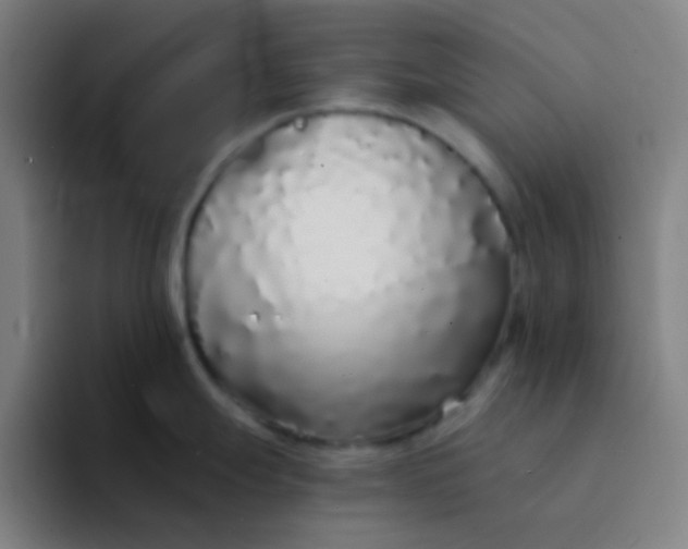 X0000094321247200711161923