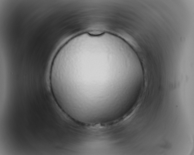 X0000094321248200711161923