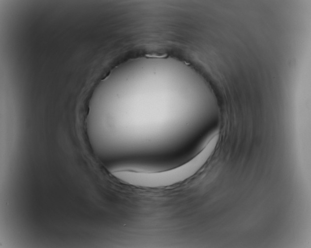 X0000094321249200711161922
