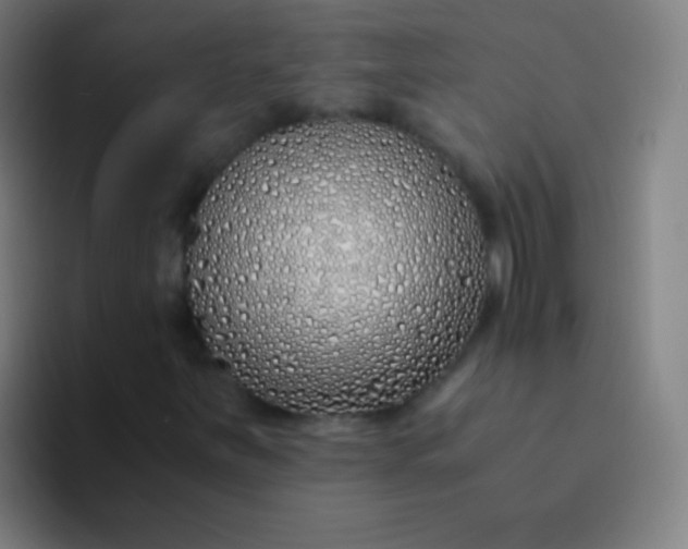 X0000094321251200711161922