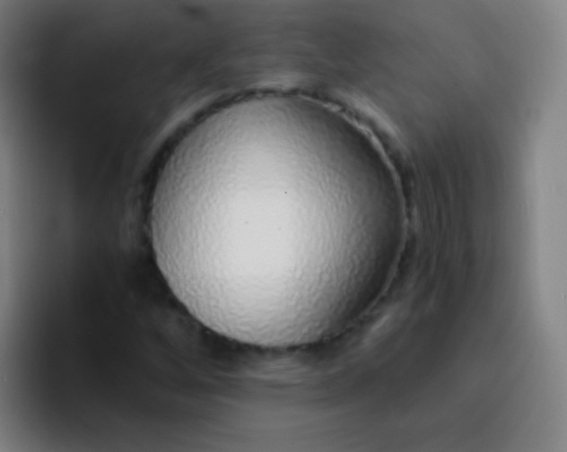 X0000094321256200711161922