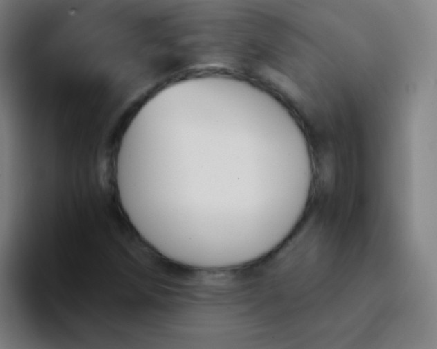 X0000094321258200711161922