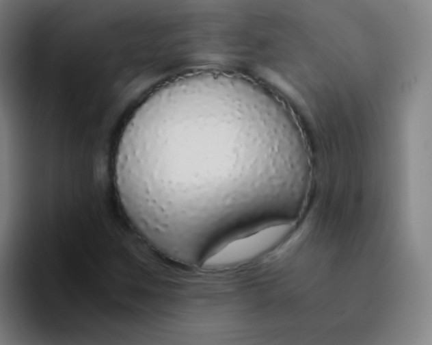 X0000094321259200711161922