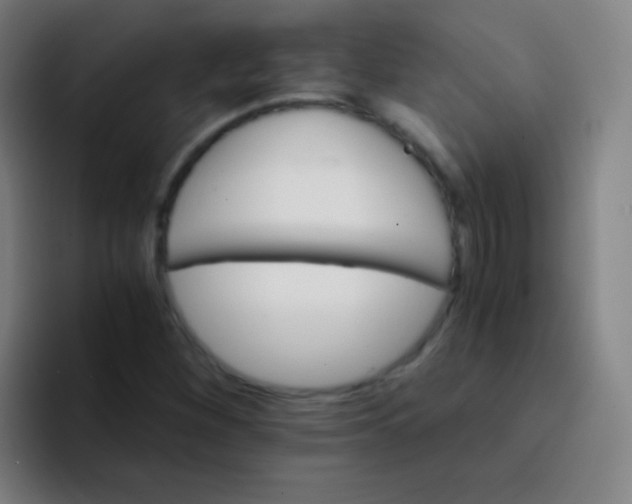 X0000094321260200711161922