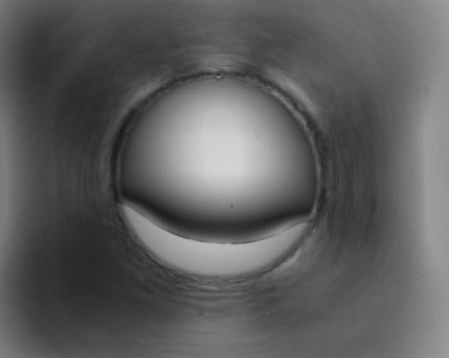 X0000094321261200711161922
