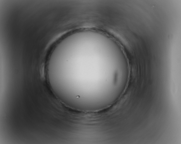 X0000094321262200711161922