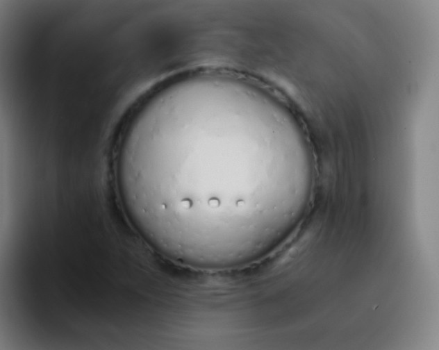 X0000094321263200711161922