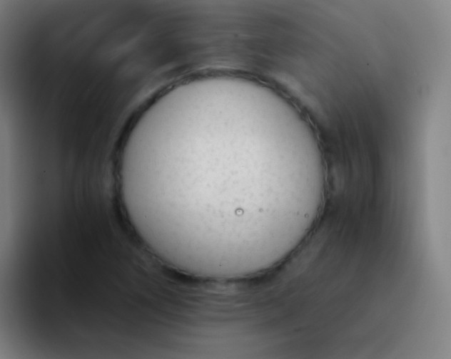 X0000094321266200711161922