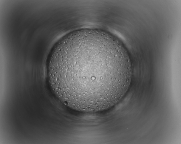 X0000094321267200711161922