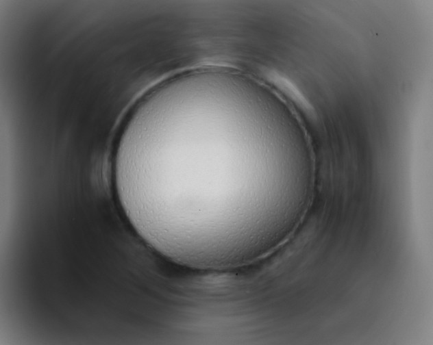 X0000094321268200711161922