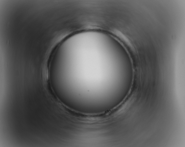 X0000094321269200711161922