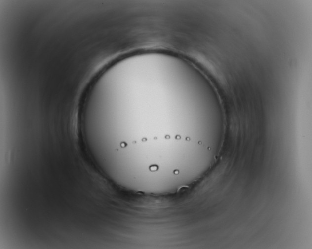 X0000094321270200711161922