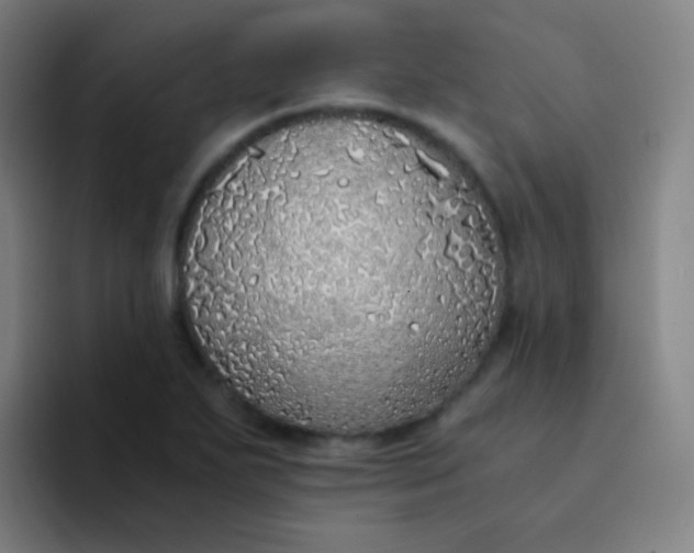X0000094321271200711161922