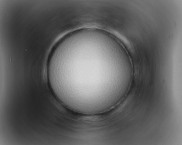X0000094321272200711161922