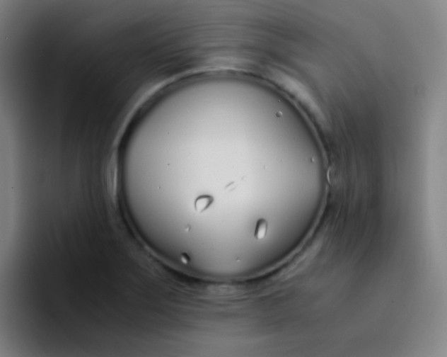 X0000094321275200711161922