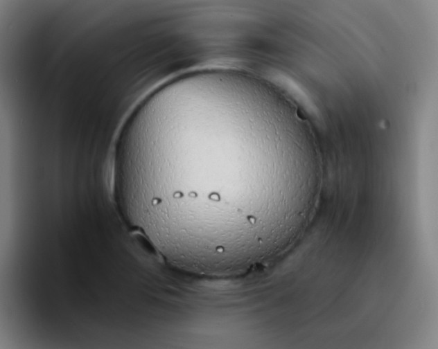 X0000094321276200711161922
