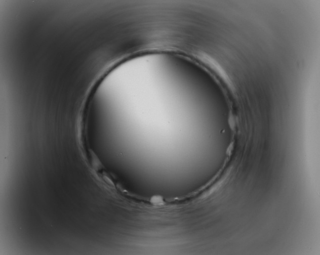X0000094321277200711161922