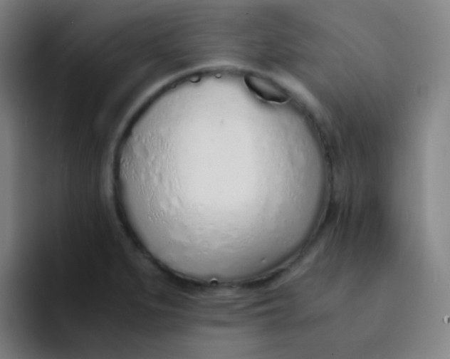 X0000094321279200711161922