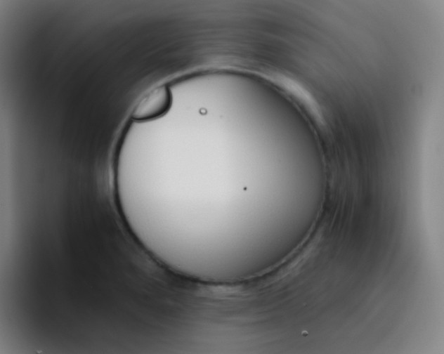 X0000094321280200711161922