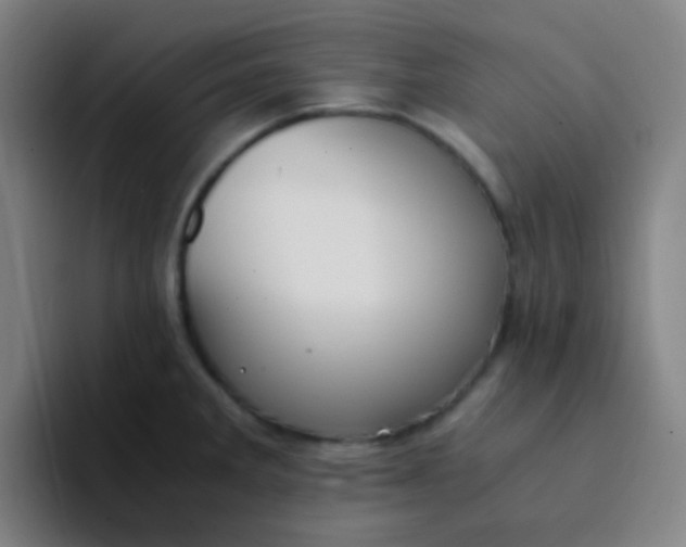 X0000094321285200711161922