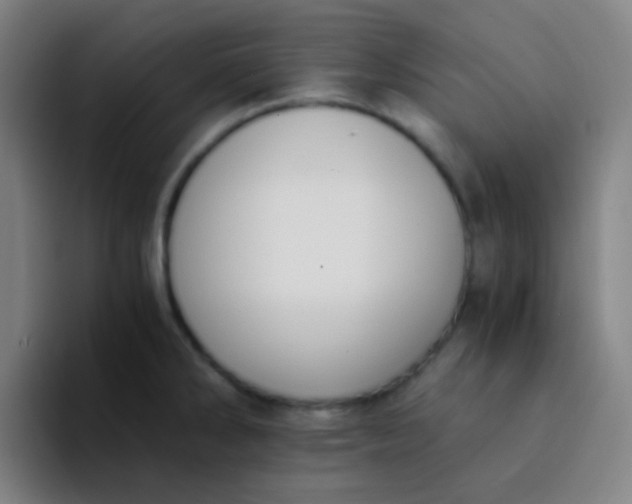 X0000094321286200711161922