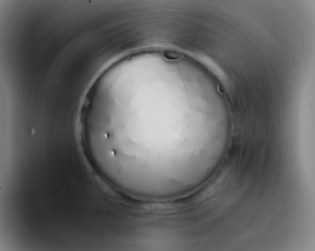X0000094321287200711161922