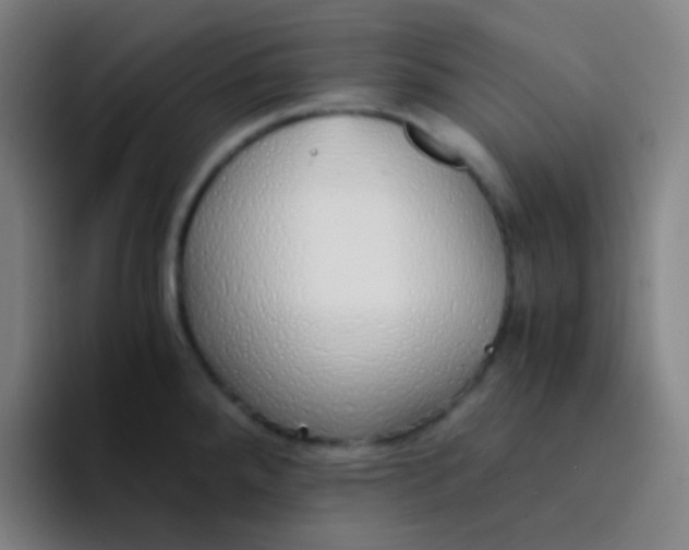 X0000094321288200711161922