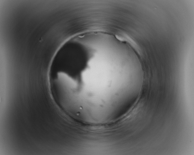 X0000094321291200711161922