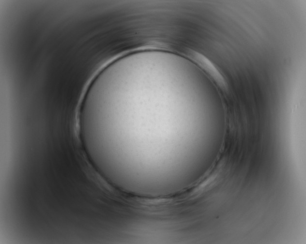 X0000094321292200711161922