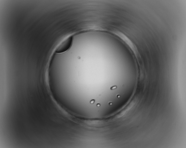 X0000094321293200711161922