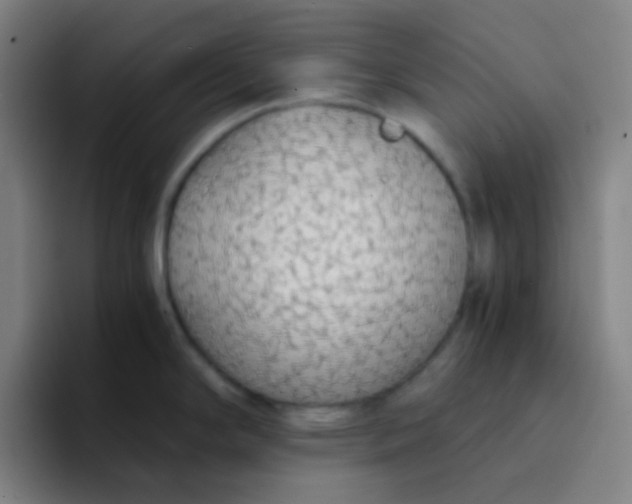 X0000094321294200711161922