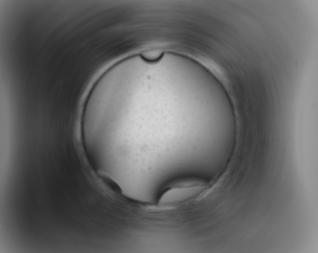 X0000094321296200711161922