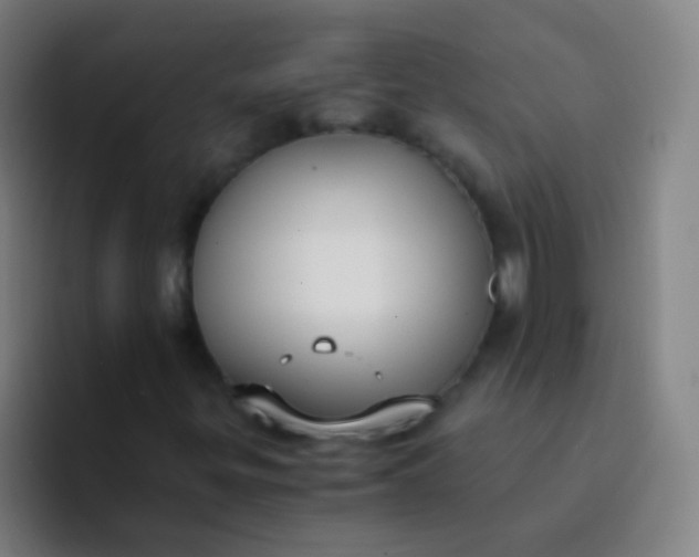 X0000094321299200711161921
