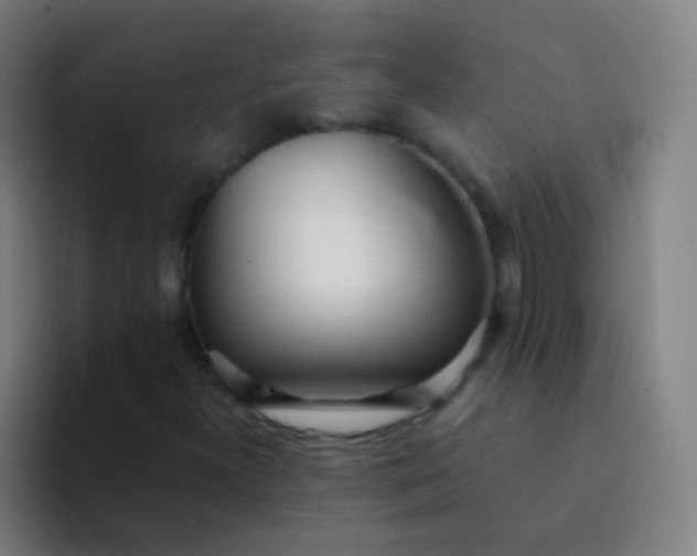 X0000094321300200711161921