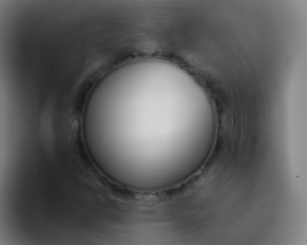 X0000094321302200711161921