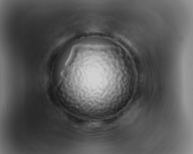 X0000094321303200711161921