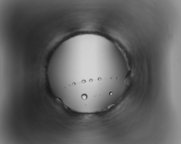 X0000094321304200711161921