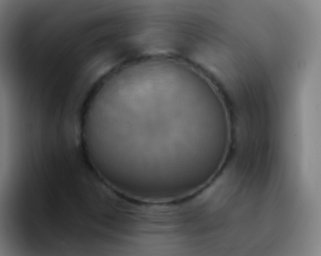 X0000094321306200711161921