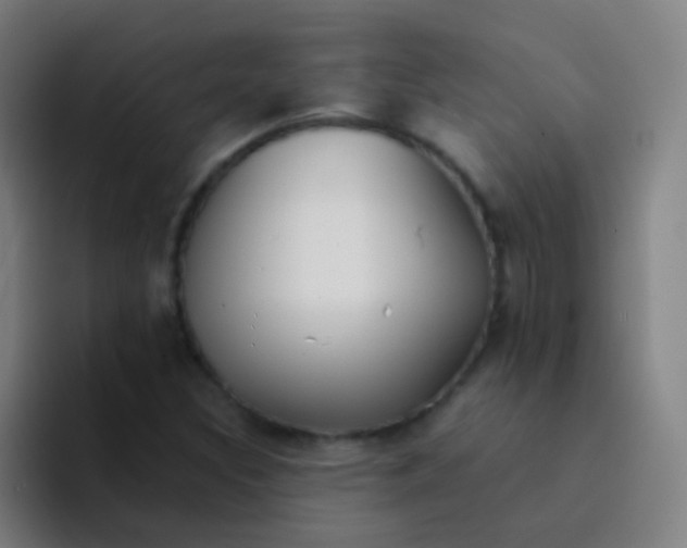 X0000094321308200711161921