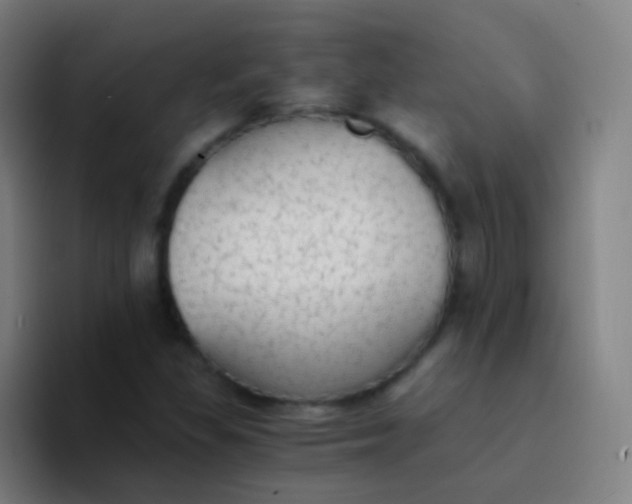 X0000094321309200711161921