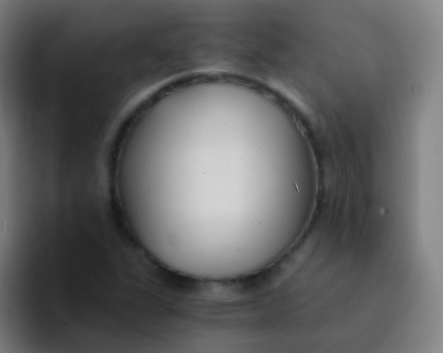 X0000094321311200711161921