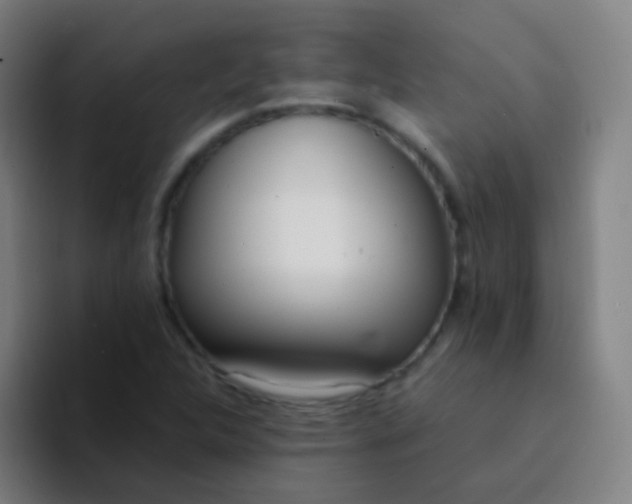 X0000094321312200711161921