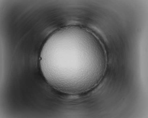 X0000094321313200711161921