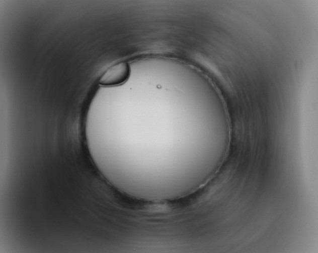 X0000094321315200711161921