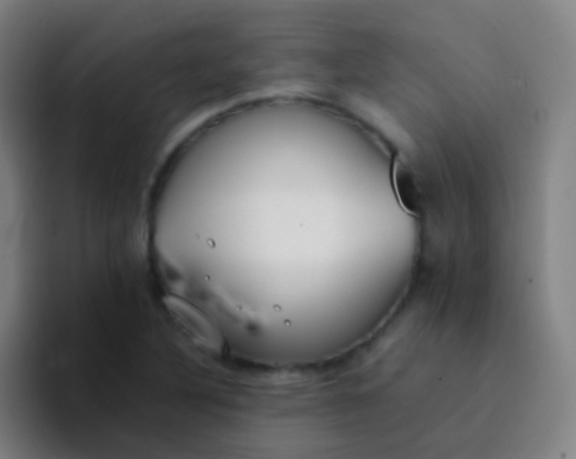 X0000094321316200711161921
