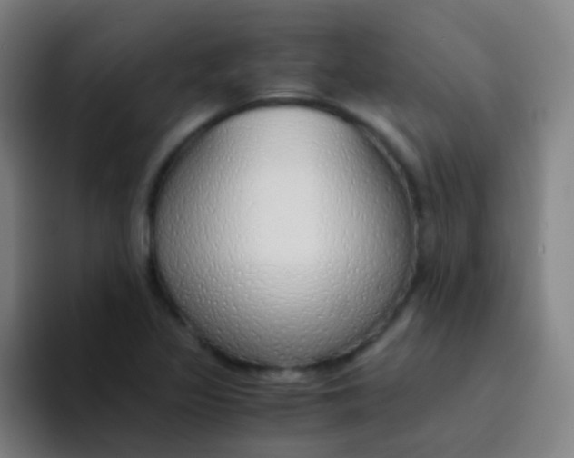 X0000094321317200711161921