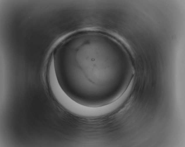 X0000094321319200711161921