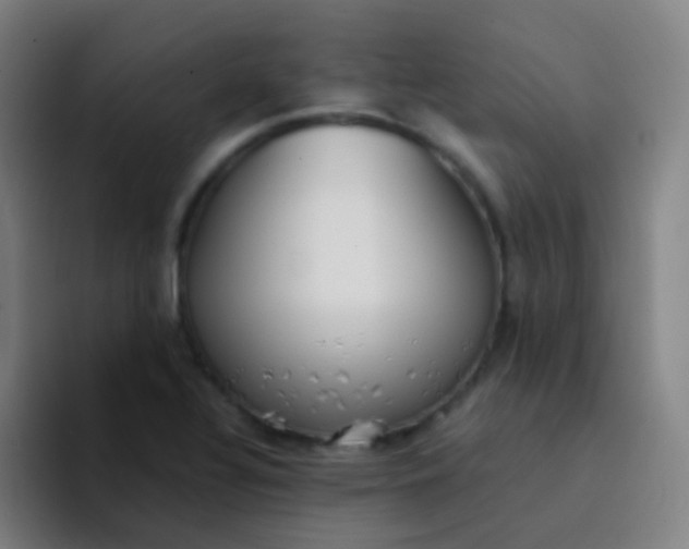 X0000094321320200711161921